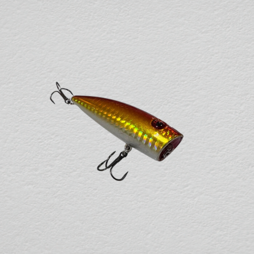 Popper lures