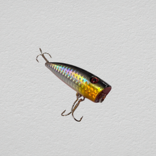 Popper lures